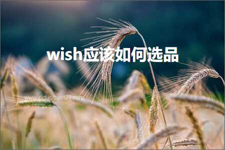 璺ㄥ鐢靛晢鐭ヨ瘑:wish搴旇濡備綍閫夊搧