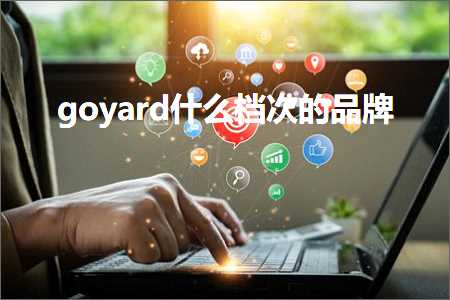 璺ㄥ鐢靛晢鐭ヨ瘑:goyard浠€涔堟。娆＄殑鍝佺墝