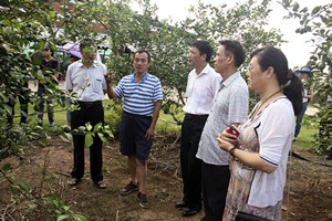 鍐滄潙鍟嗘満濂介」鐩湁鍝簺锛熷湪鍐滄潙鍒涗笟瑕佹敞鎰忎粈涔堬紵.jpg