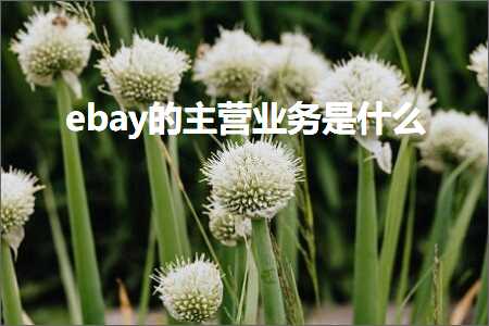 跨境电商知识:ebay的主营业务是什么