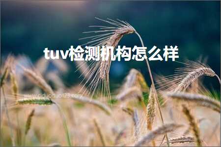 璺ㄥ鐢靛晢鐭ヨ瘑:tuv妫€娴嬫満鏋勬€庝箞鏍? width=