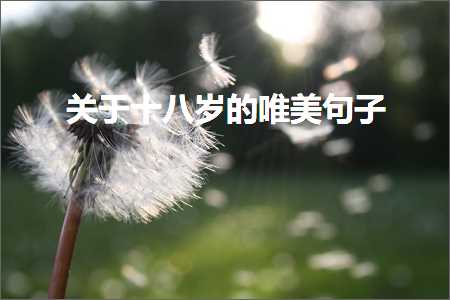 鍏充簬鏄熺┖鐨勫彞瀛愬敮缇庡咖浼わ紙鏂囨126鏉★級